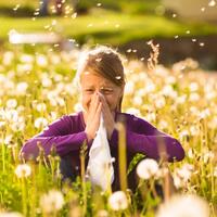 Çim polenine dikkat!