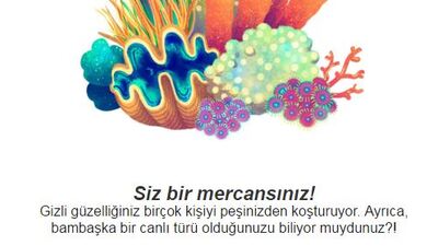 Peki siz hangi hayvansınız?