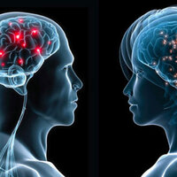 İnsanoğlunun 2. beyni mi var?