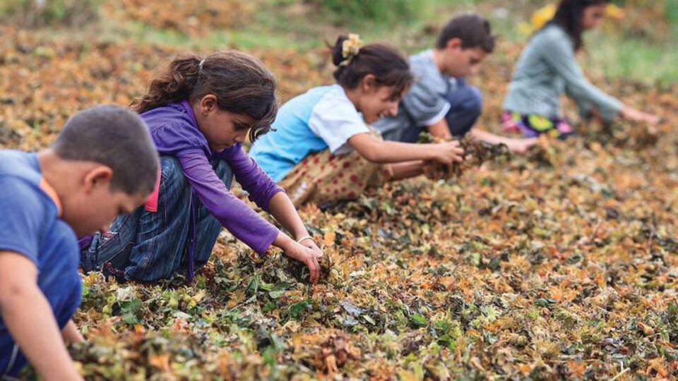 23 Nisan Çocuk İşçi Bayramı!