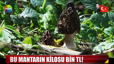 Kilosu dudak uçuklatıyor