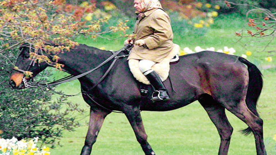 Dünyayı pasaportsuz gezen kadın