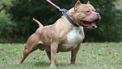 3 günlük bebeği öldürdü