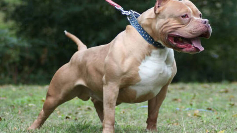 3 günlük bebeği öldürdü