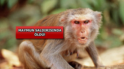 Ünlü iş adamının feci sonu!