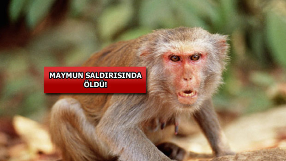 Ünlü iş adamının feci sonu!