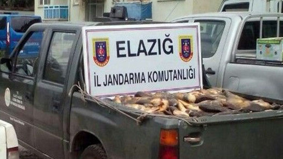 Jandarma 3 minübüsü durdurdu! İçinden 6 ton kaçak ...