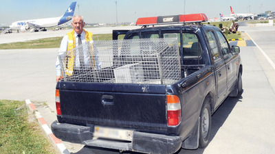 Havalimanında köpek timi görev başında