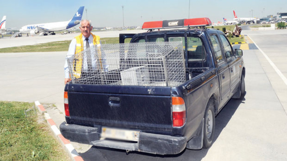 Havalimanında köpek timi görev başında