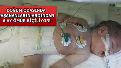 Bitkisel hayata doğdu!