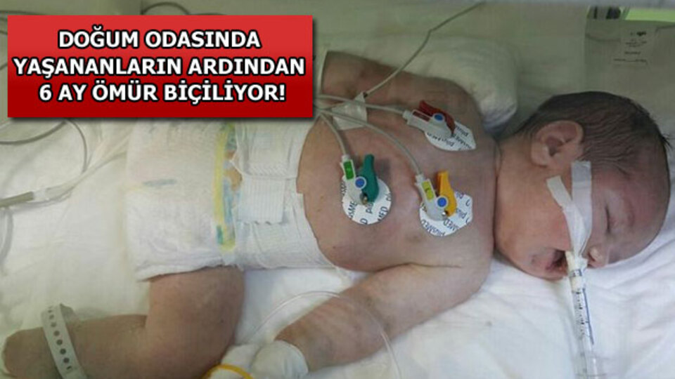 Bitkisel hayata doğdu!