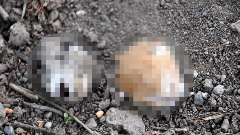 Osmaniye'de vahşet!