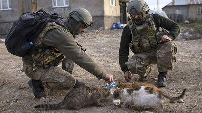 Kumanyalarını sokak hayvanlarıyla paylaşıyorlar