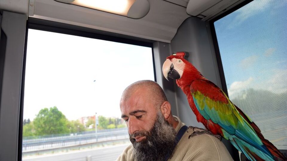 "3 ay sonra o da başladı 'Allah' demeye"