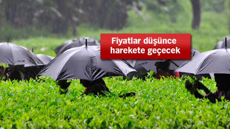 Süt, çay, fındık, zeytinyağı için kritik adım!