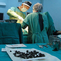 Bağırsaklarını yırttı, görenler şaşkına döndü!