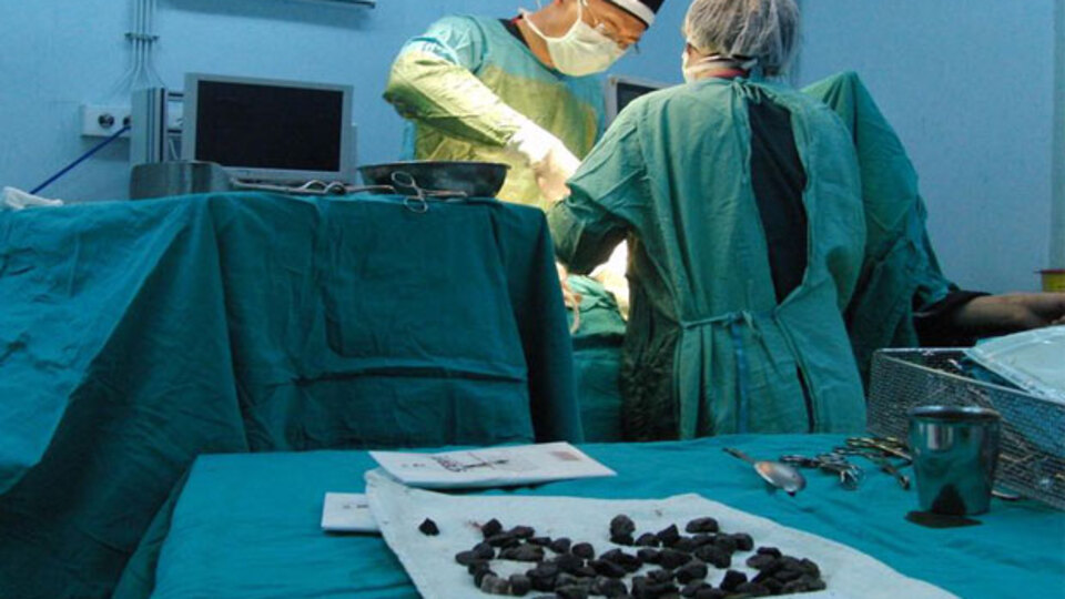 Bağırsaklarını yırttı, görenler şaşkına döndü!