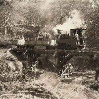 İstanbul'un tarihi hattı canlanıyor