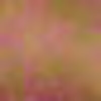 "Annemi bulmak için gidiyorum" dedi ve...