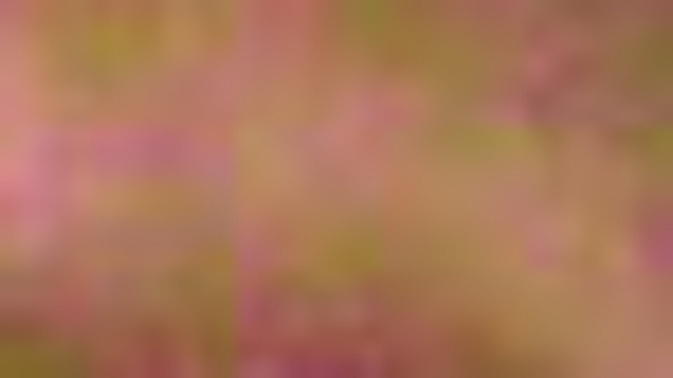 "Annemi bulmak için gidiyorum" dedi ve...