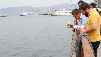 İzmir Körfezi'nde deniz anası istilası