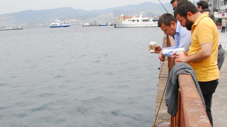 İzmir Körfezi'nde deniz anası istilası