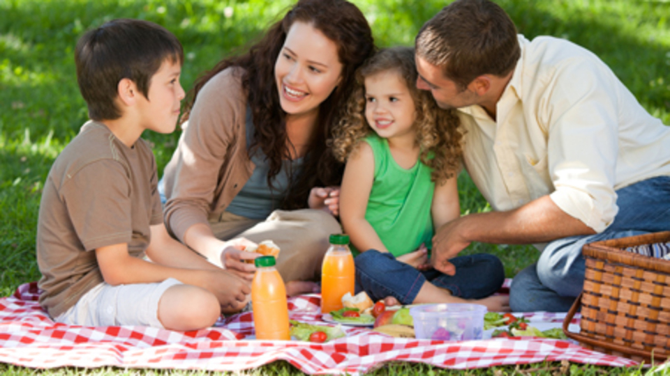 Alerjik çocuklarda piknik tehlikesi!