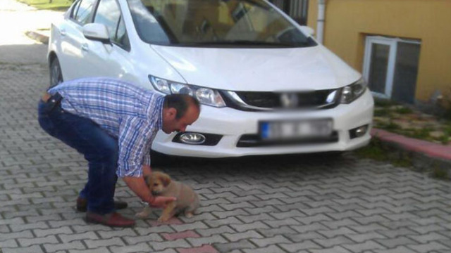 Önce aracıyla ezdi, sonra platin taktırıp sahiplendi