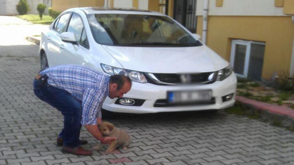 Önce aracıyla ezdi, sonra platin taktırıp sahiplendi