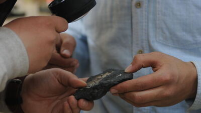 Bilim dünyası için tarihi sonuç