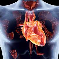 Aort damarı neden ve nasıl yırtılır?