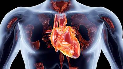 Aort damarı neden ve nasıl yırtılır?