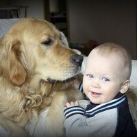 Evcil hayvan çocuk gelişimini nasıl etkiliyor?