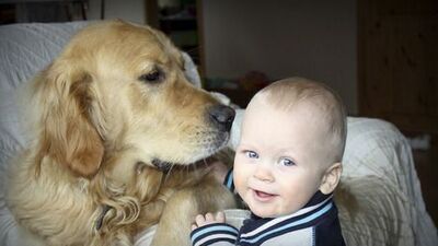 Evcil hayvan çocuk gelişimini nasıl etkiliyor?