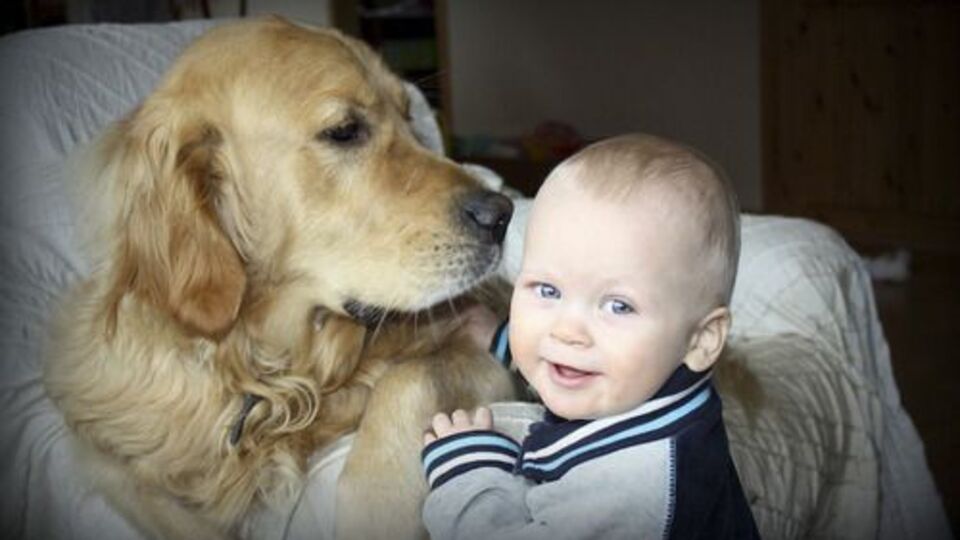 Evcil hayvan çocuk gelişimini nasıl etkiliyor?