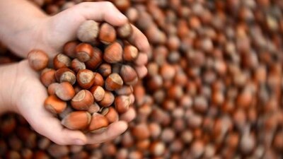 Fındık fiyatları hareketlendi