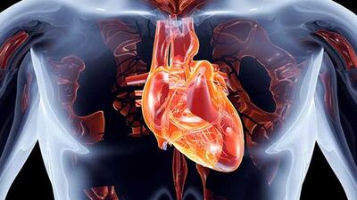 Aort yırtığı belirtileri nelerdir?