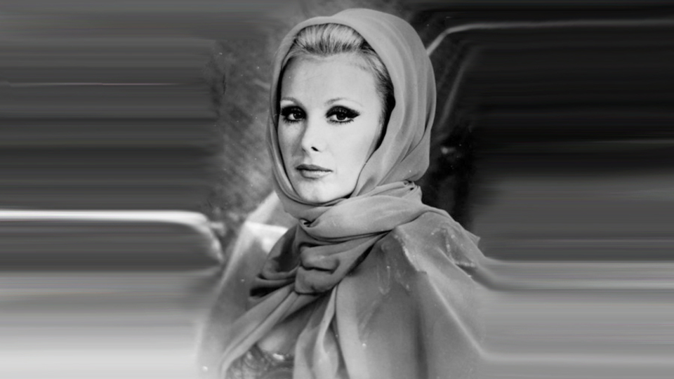 4 bin 500 fotoğraflık Filiz Akın sergisi