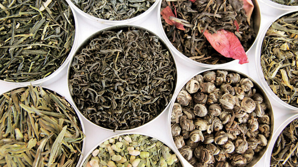 Her gün iki fincan yeşil çay şart