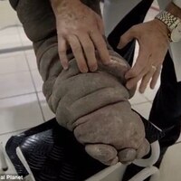 Aman dikkat! Sizin de başınıza gelebilir...