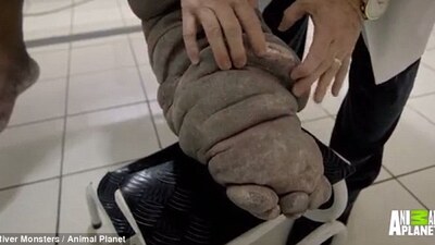 Aman dikkat! Sizin de başınıza gelebilir...