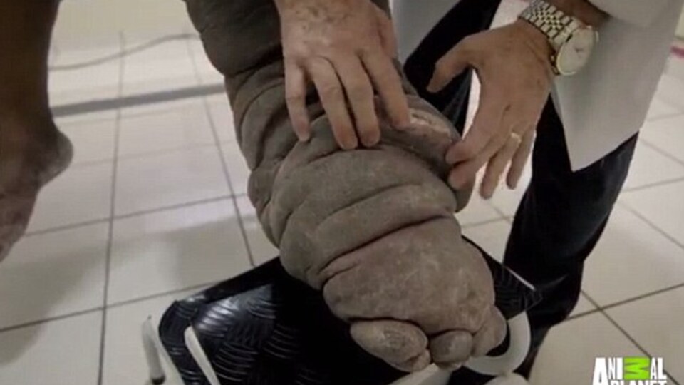 Aman dikkat! Sizin de başınıza gelebilir...