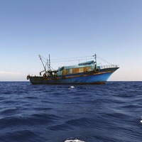 Yüzlerce Karayipli, Türkiye'ye geliyor...