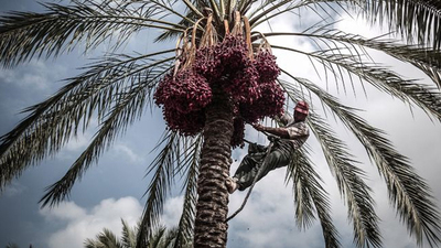 Ramazan geldi vergisi sıfıra düştü