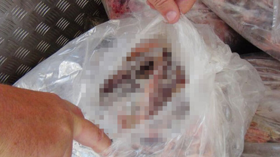 Kamyonetten çıkanlar şok etti! Tam 1,5 ton...