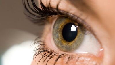 Göz tansiyonunun tedavisinde "sinir koruyucu ilaç" başarısı