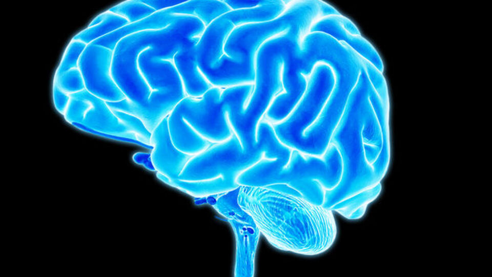 Beyin neyle gıdıklanır?