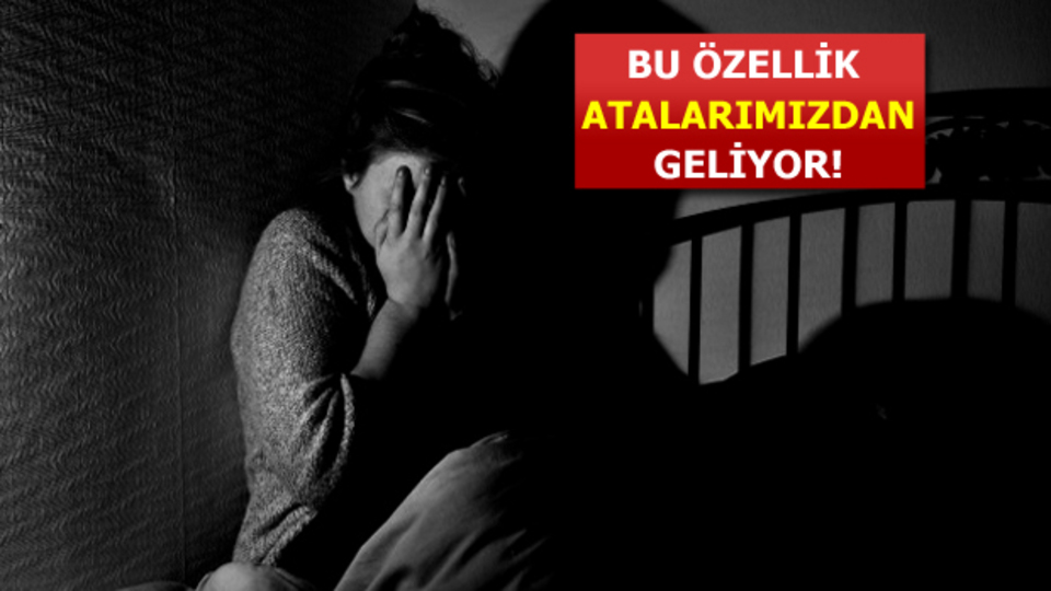 Siz de korkuyor musunuz?