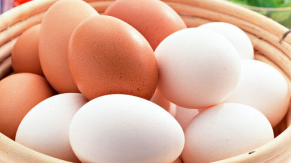 Günde 1 yumurta mutlaka yiyin çünkü...