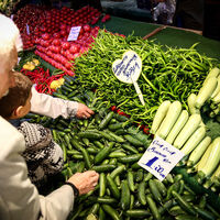 Fiyatlar yarıya düştü!